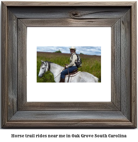 horse trail rides near me in Oak Grove, South Carolina